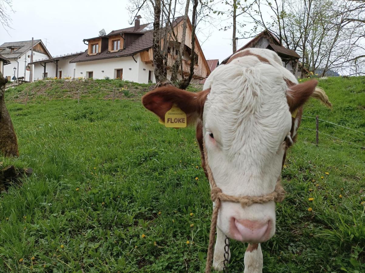 Greuth Hutte Vila Tarvisio Exterior foto